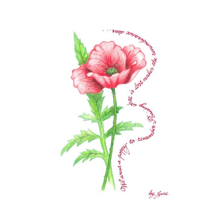 Día del recuerdo - amapola