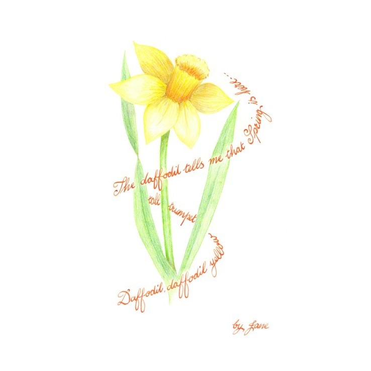 Tarjeta de narciso de primavera por Calligraphy Arts