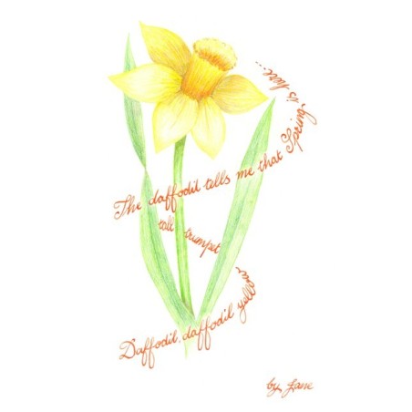 Spring DACHODIL CARD BY Calligraphy Arts