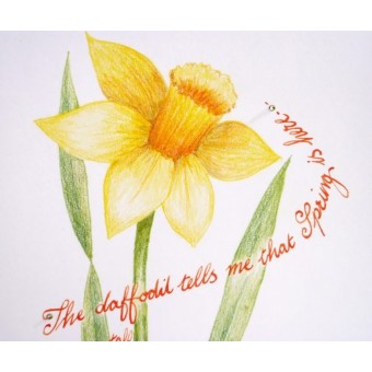 Tarjeta de narciso de primavera por Calligraphy Arts 2