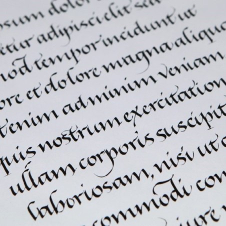 Cursief kalligrafie schrijven met behulp van PAScribe zwarte randen inkt