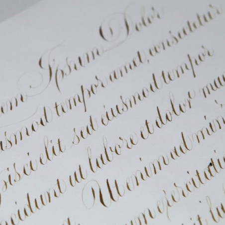 Sepia Manuscript belettering met PAScribe inkt