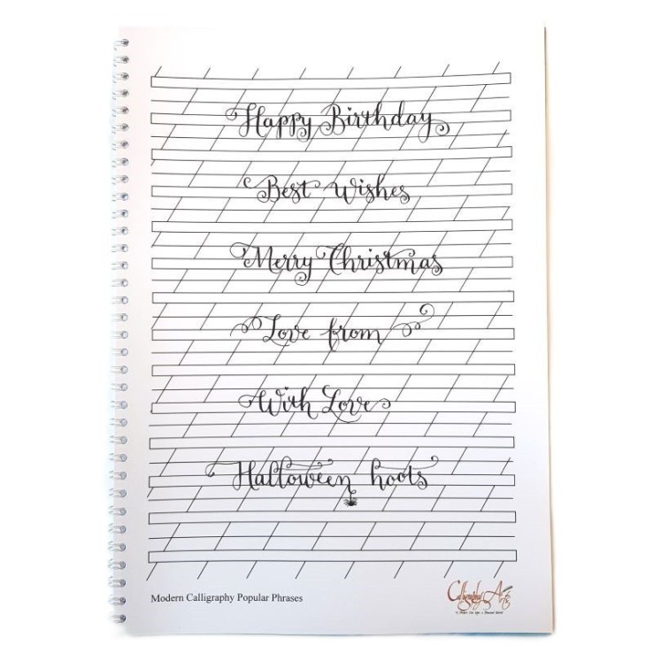 Calligraphy Arts modern calligraphy book popular phrases