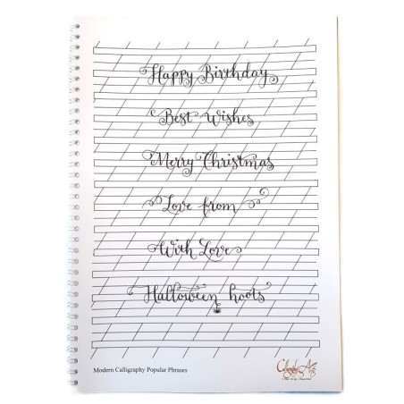 Calligraphy Arts modern calligraphy book popular phrases